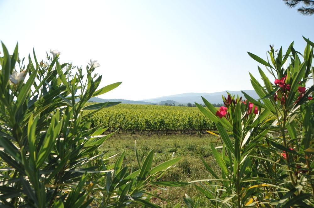 Tenuta Casabianca 무를로 외부 사진