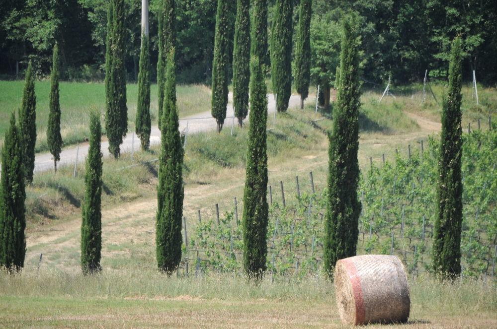 Tenuta Casabianca 무를로 외부 사진