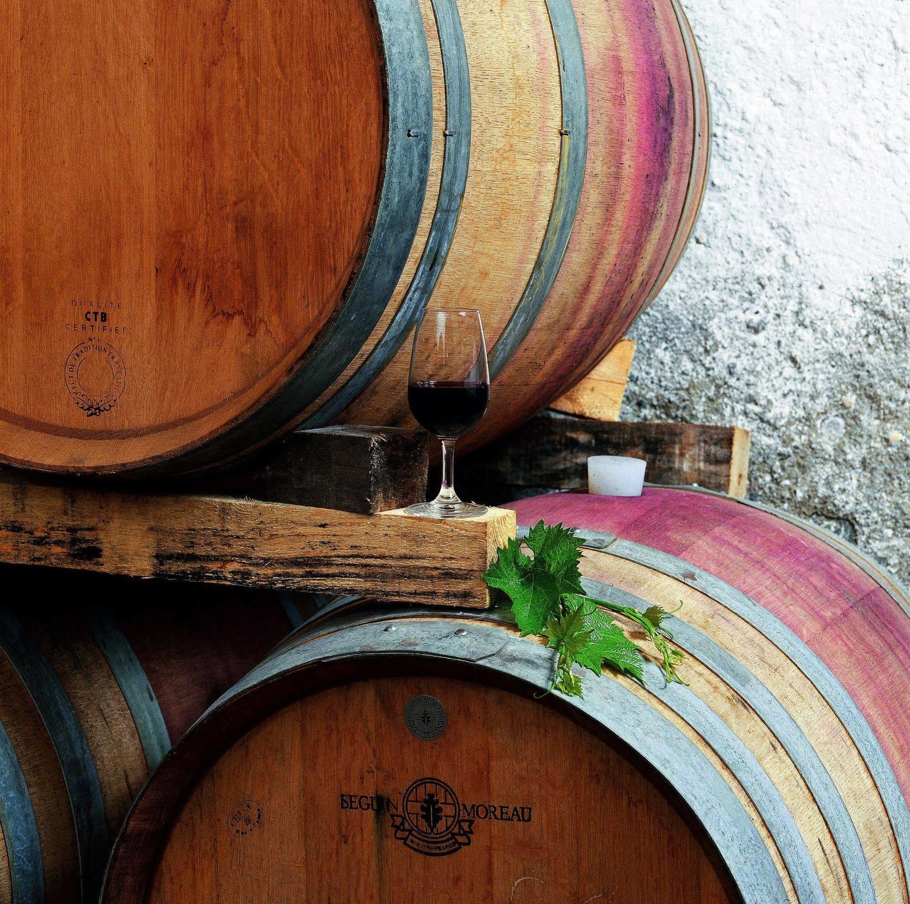 Tenuta Casabianca 무를로 외부 사진